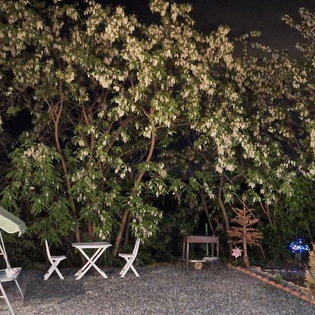Cabana Oprisor Окна-Сібіулуй Екстер'єр фото