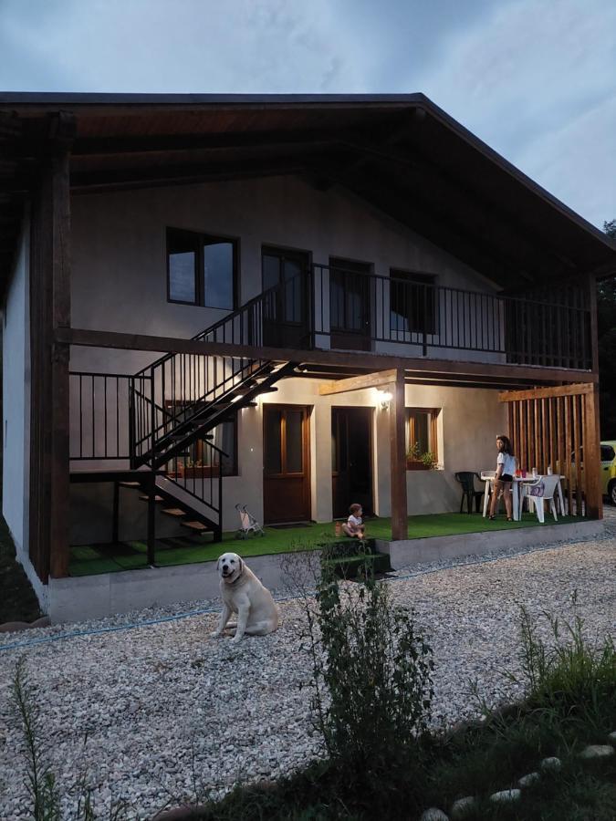 Cabana Oprisor Окна-Сібіулуй Екстер'єр фото
